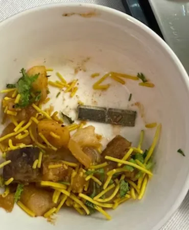Scandal at Air India: Metal Knife Found in Passenger's Meal