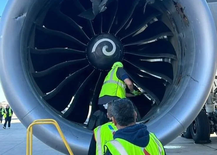 Cargo Container Hits American Airlines Plane: Engine Damaged