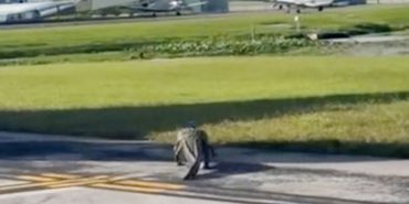 Crocodile Spotted at Airport