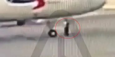 Pilot Error: Technician’s Legs Crushed Under Aircraft
