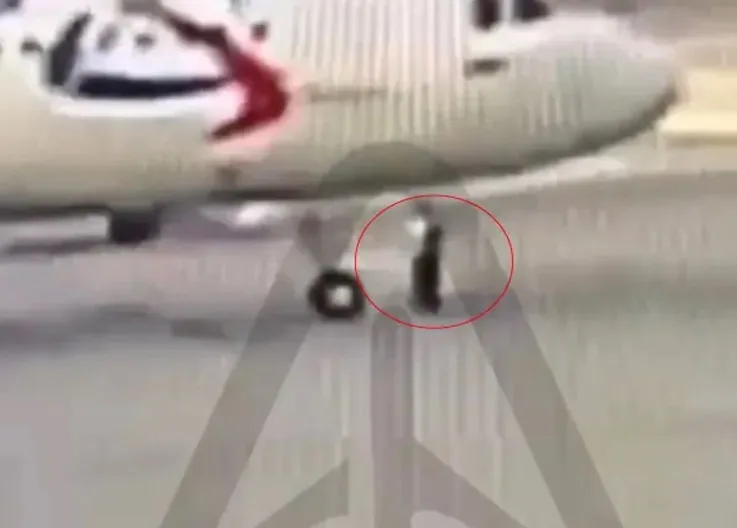 Pilot Error: Technician’s Legs Crushed Under Aircraft