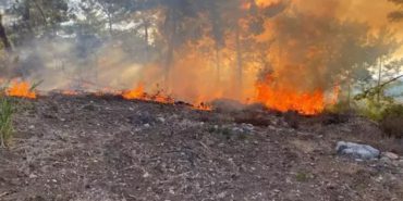 Aircraft Crash in Alanya Forest Causes Fire