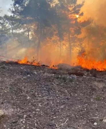 Aircraft Crash in Alanya Forest Causes Fire