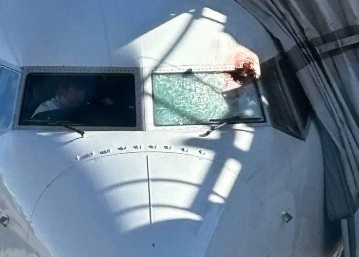 Flair Airlines Flight Makes Emergency Landing in Toronto Due to Bird Strike