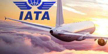 IATA October 2024 Passenger Demand Report: Global Aviation Continues to Grow