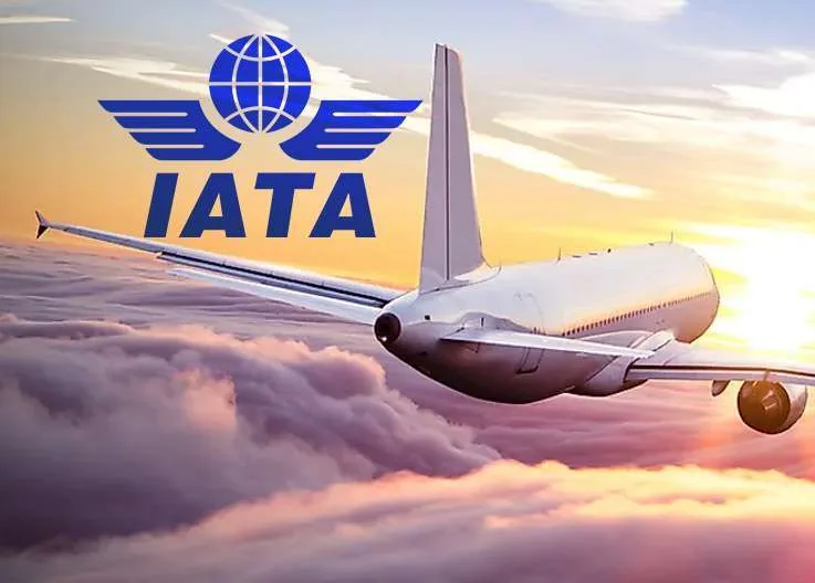 IATA October 2024 Passenger Demand Report: Global Aviation Continues to Grow