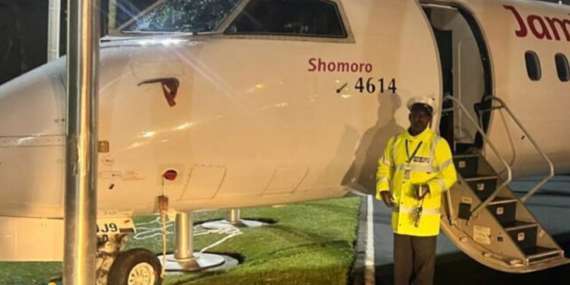 Plane Collides with Flagpoles Due to Brake Failure