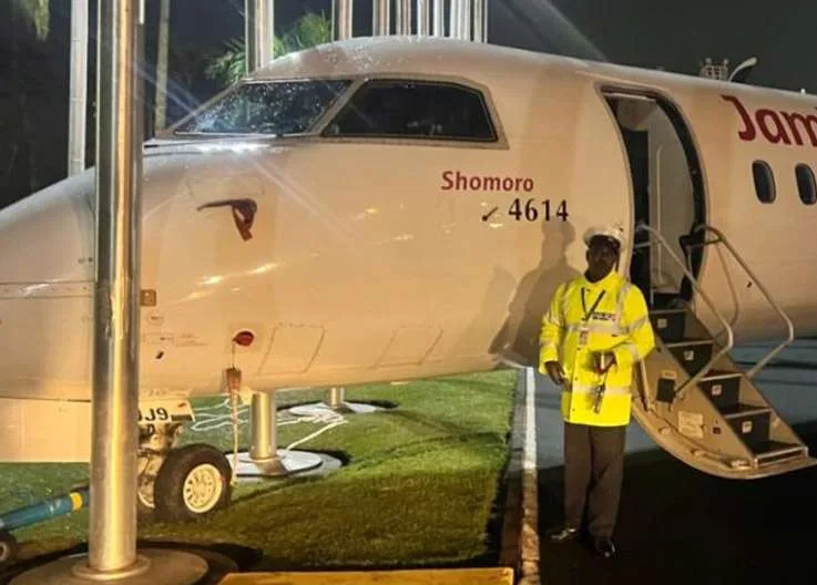 Plane Collides with Flagpoles Due to Brake Failure