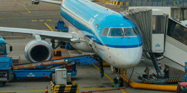 Shocking Incident on KLM Flight! Emergency Landing Due to 100 Pigs