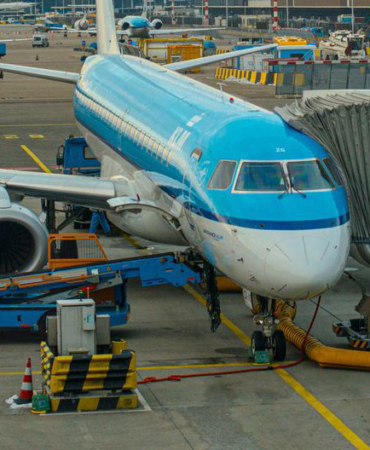 Shocking Incident on KLM Flight! Emergency Landing Due to 100 Pigs