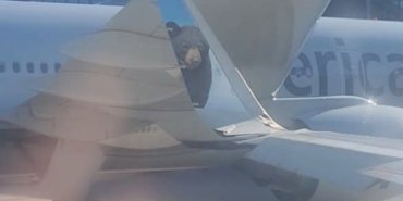 Chaos at Boston Airport: Four Planes Involved in Accidents