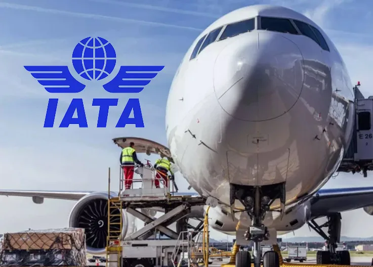 IATA Releases 2024 Air Cargo Market Data