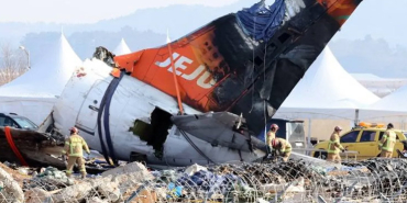 Jeju Air Plane Crashes: Bird Feathers Found in Engines