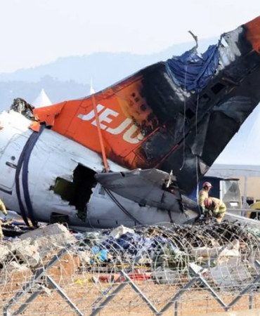 Jeju Air Plane Crashes: Bird Feathers Found in Engines