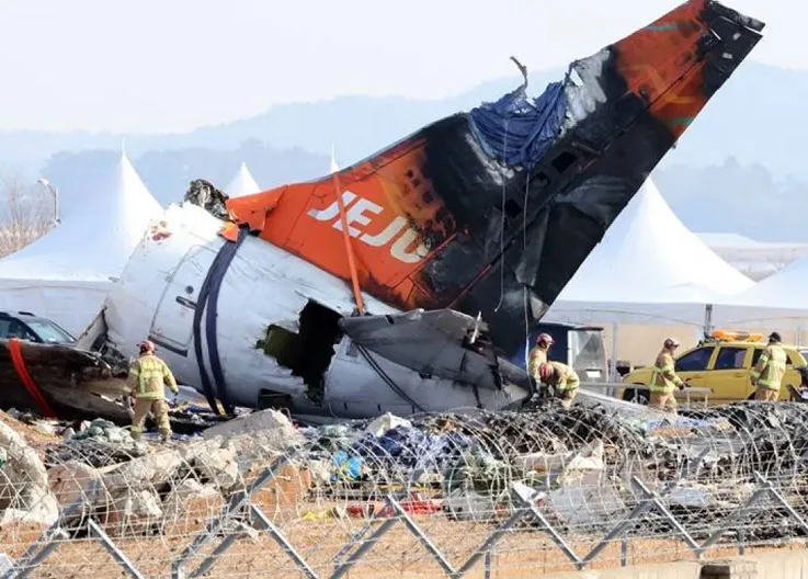 Jeju Air Plane Crashes: Bird Feathers Found in Engines