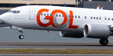 Bird Strike on Boeing 737 Engine! Emergency Landing Executed