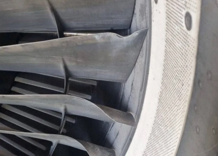 PIA Airbus A320 Makes Emergency Return Due to Bird Strike