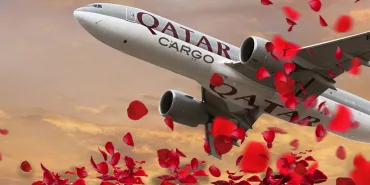 Qatar Airways Cargo Transports 42 Million Roses for Valentine’s Day