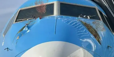 TUI Aircraft Collides with Swans in Mid-Air, Pilots Declare Emergency