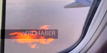 Bird Strike on Malaysia Airlines Plane: Engine Catches Fire!