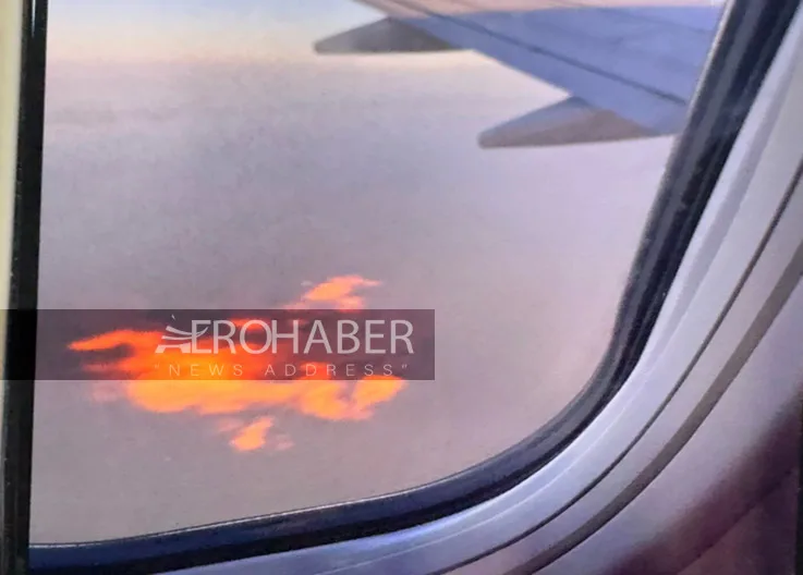Bird Strike on Malaysia Airlines Plane: Engine Catches Fire!