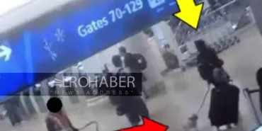 Blood-Curdling Incident in Florida! She Drowned Her Dog In The Toilet After It Was Not Allowed On The Plane