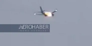 Rabbit Sucked into Engine Turns Plane into Fireball!