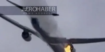 NTSB Report Reveals: Birds Drove FedEx Plane Toward Disaster in Mid-Air