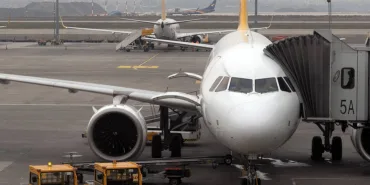Rabbit Disrupts Air Traffic at Sabiha Gökçen Airport