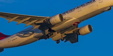 Turkish Airlines A330 Aborts Takeoff After Bird Strike