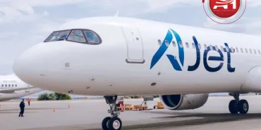 AJet Aircraft Undergoes Detailed Inspection Due to Bird Strike Risk