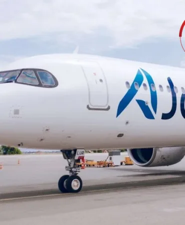 AJet Aircraft Undergoes Detailed Inspection Due to Bird Strike Risk