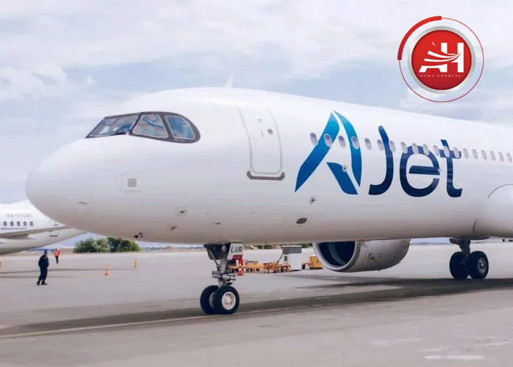 AJet Aircraft Undergoes Detailed Inspection Due to Bird Strike Risk