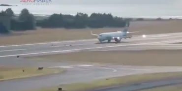 Animals Pose a Threat: This Time, a Plane Hit Deer