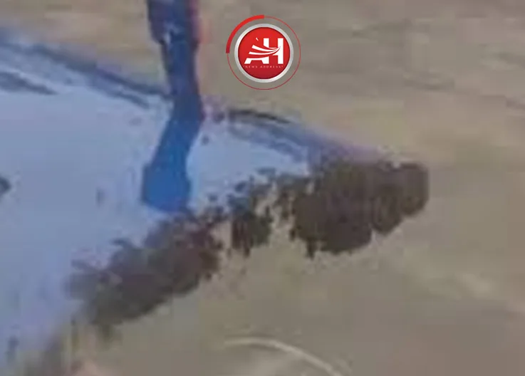 Bee Attack Grounds Aircraft: Airbus A320 Unable to Take Off in India!