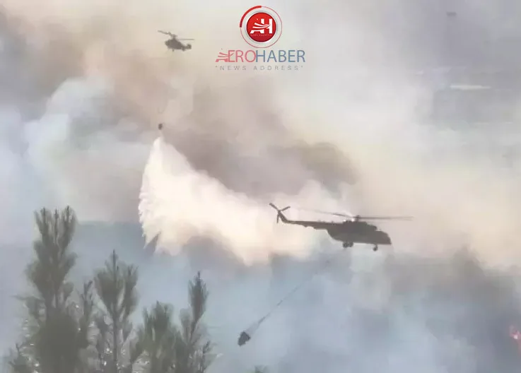 Flames Cross the Border, Türkiye on Alert! Critical Intervention in Yayladağı