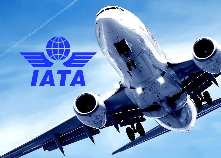 IATA’s 2024 Report: The United States Leads Global Aviation with 876 Million Passengers