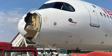 Bird Strike on Flight IB579: A321neo Radome Shattered