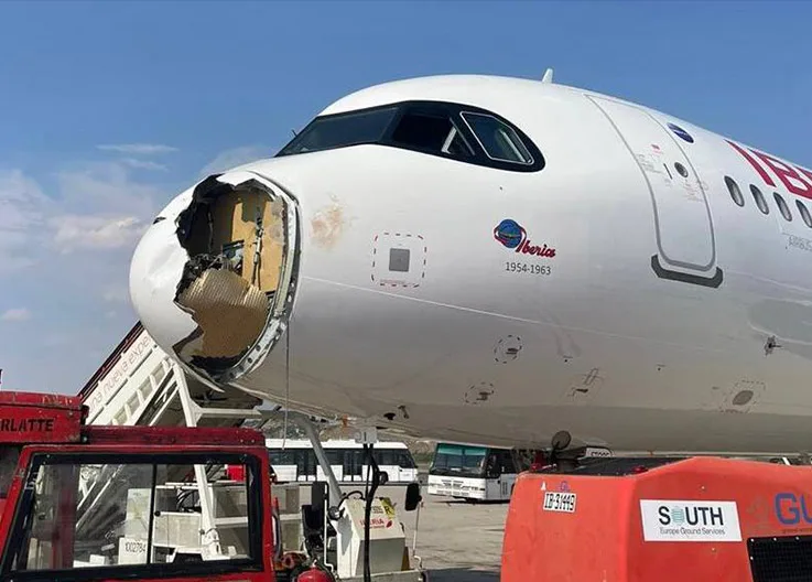 Bird Strike on Flight IB579: A321neo Radome Shattered