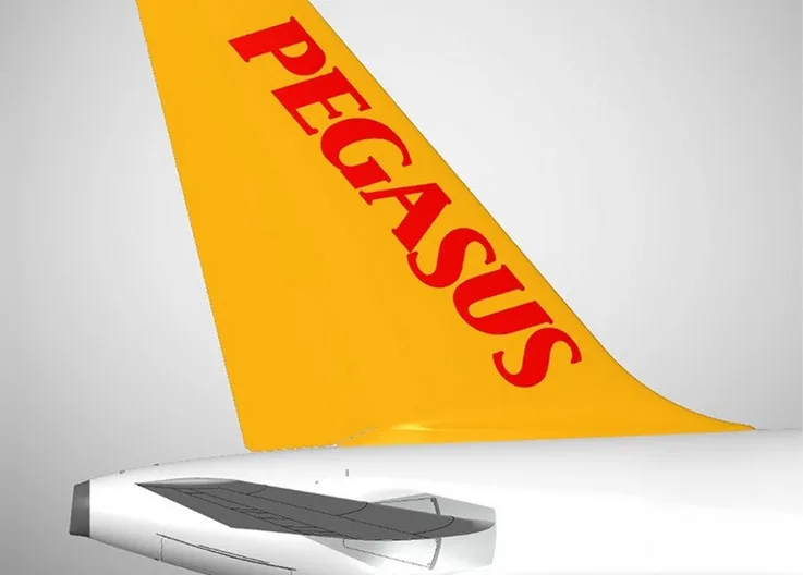 Pegasus at the Top of the Industry in Corporate Governance