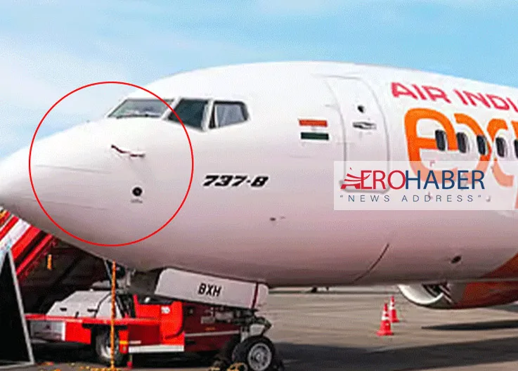 Air India Express Plane Hit by Eagle, Flight Cancelled