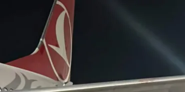 Seagull Stuck in the Wing of Turkish Airlines Boeing 737!