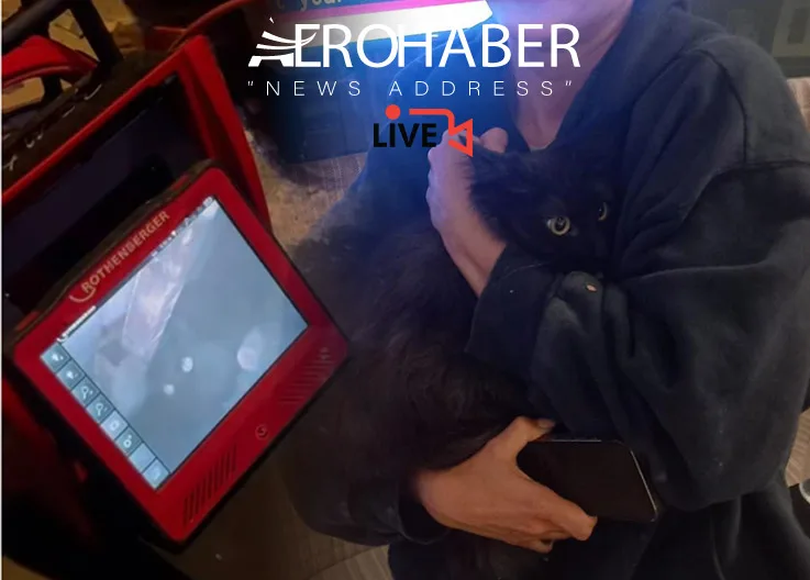 Cat of Russian Passenger Escapes at Istanbul Airport! Detected by Thermal Camera
