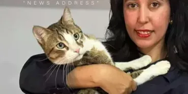 Turkish Airlines Lost the Cat: Offered a Business Class Ticket, Family Refuses
