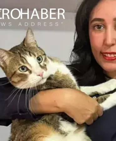 Turkish Airlines Lost the Cat: Offered a Business Class Ticket, Family Refuses