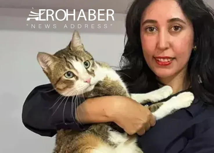 Turkish Airlines Lost the Cat: Offered a Business Class Ticket, Family Refuses
