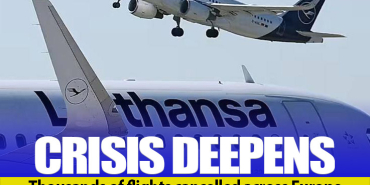 Lufthansa cancels 20,000 flights