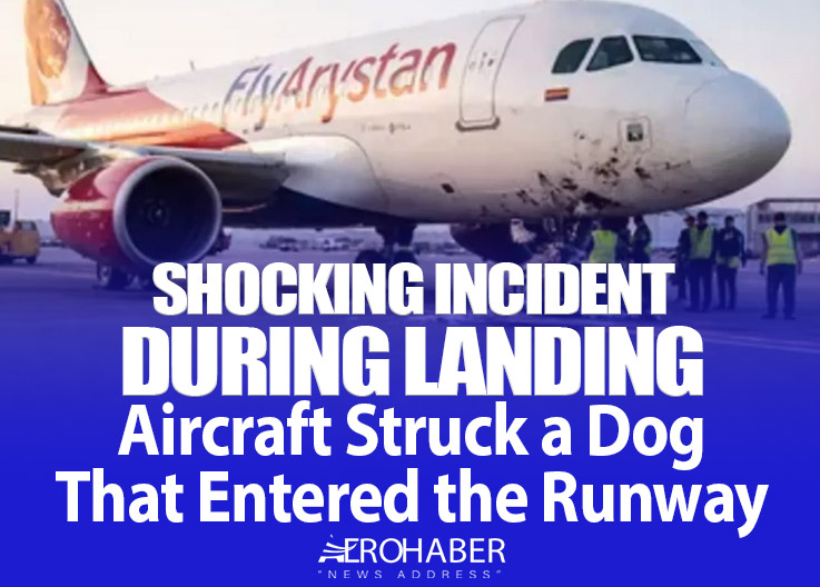 Shocking Incident During Landing: Aircraft Struck a Dog That Entered the Runway