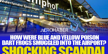 Exotic Smuggling Scandal at Schiphol Airport: Poison Dart Frogs Seized