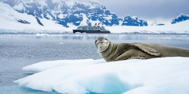 Antarctica_Borgen-Bay_Leopard-Seal_BennBerkeley_29Jan2025_009-1
